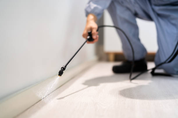Licensed Termite Control service in Gilman, IL - Show Me Pest Control