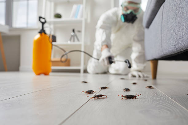 Commercial Rodent Management in Gilman